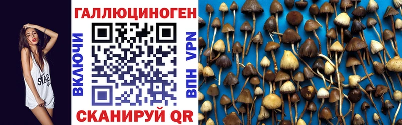 цены   Ядрин  Галлюциногенные грибы ЛСД 